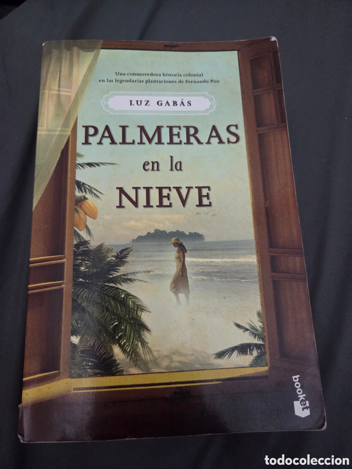 Libros de segunda mano: Palmeras en la nieve. Luz Gabas