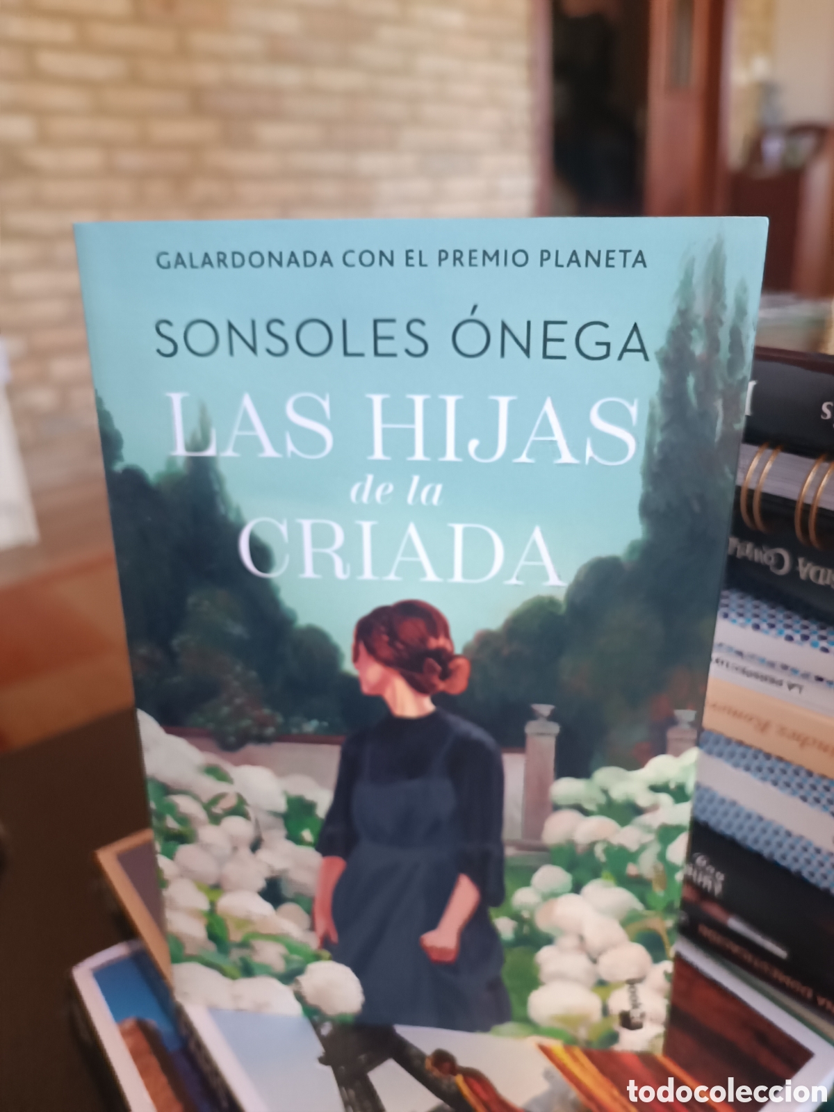 Libros de segunda mano: Las hijas de la criada booket Sonsoles Onega