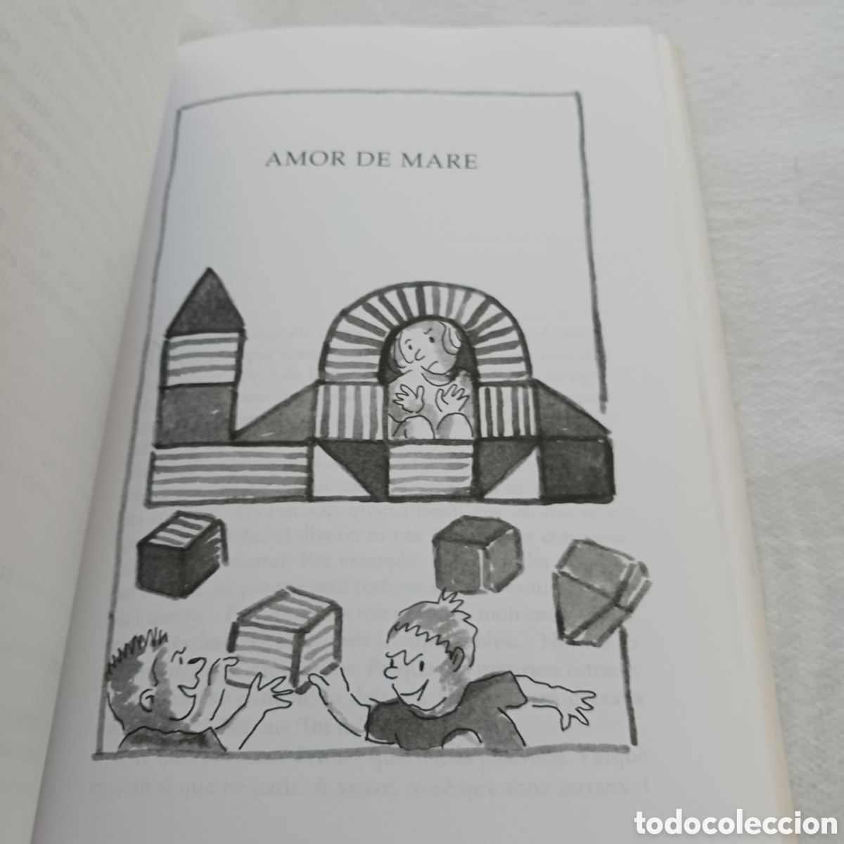 Libros de segunda mano: Dones de Isabel Clara Simo - Foto 14