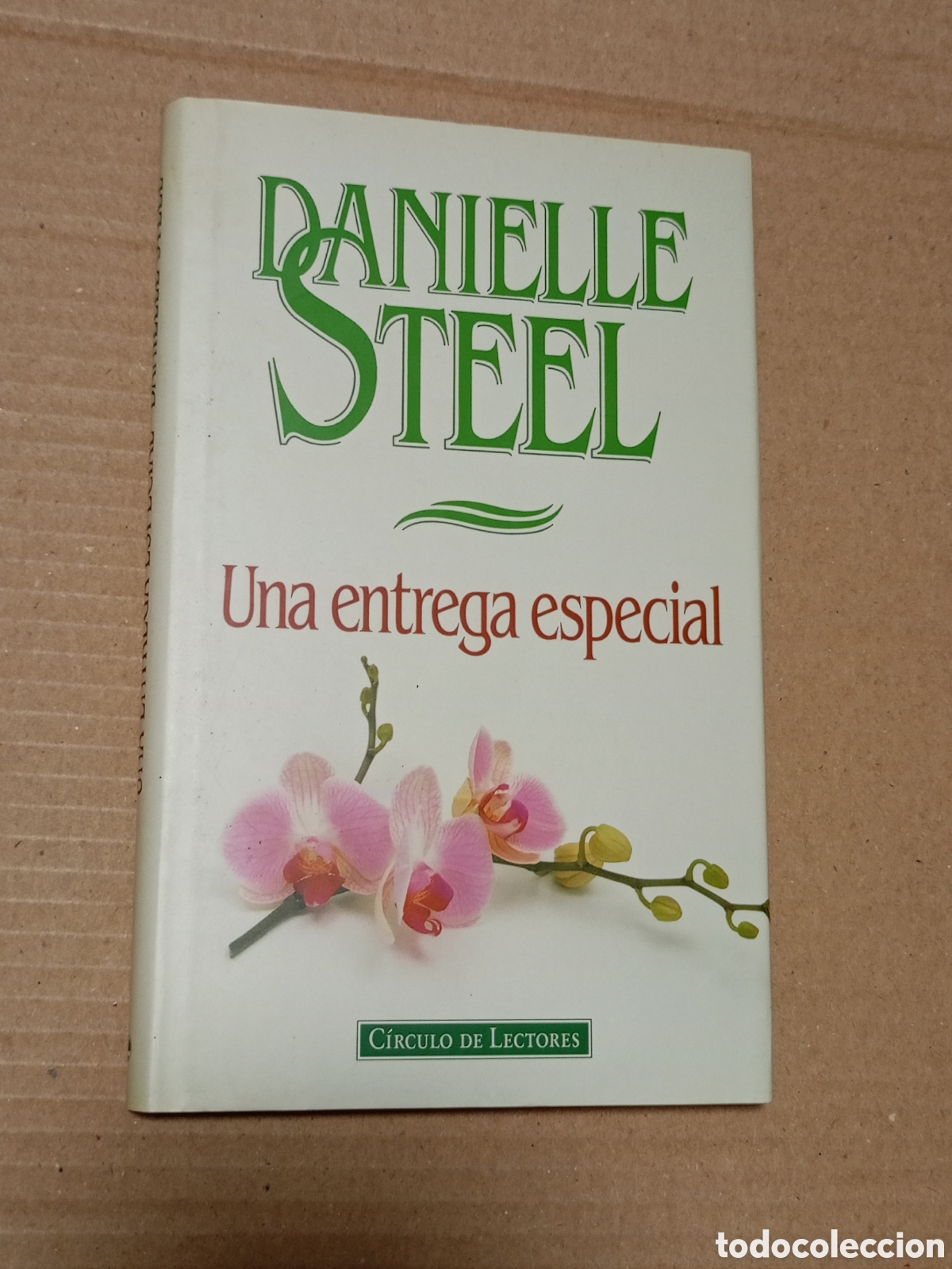 Second hand books: Danielle Steel - Una entrega especial