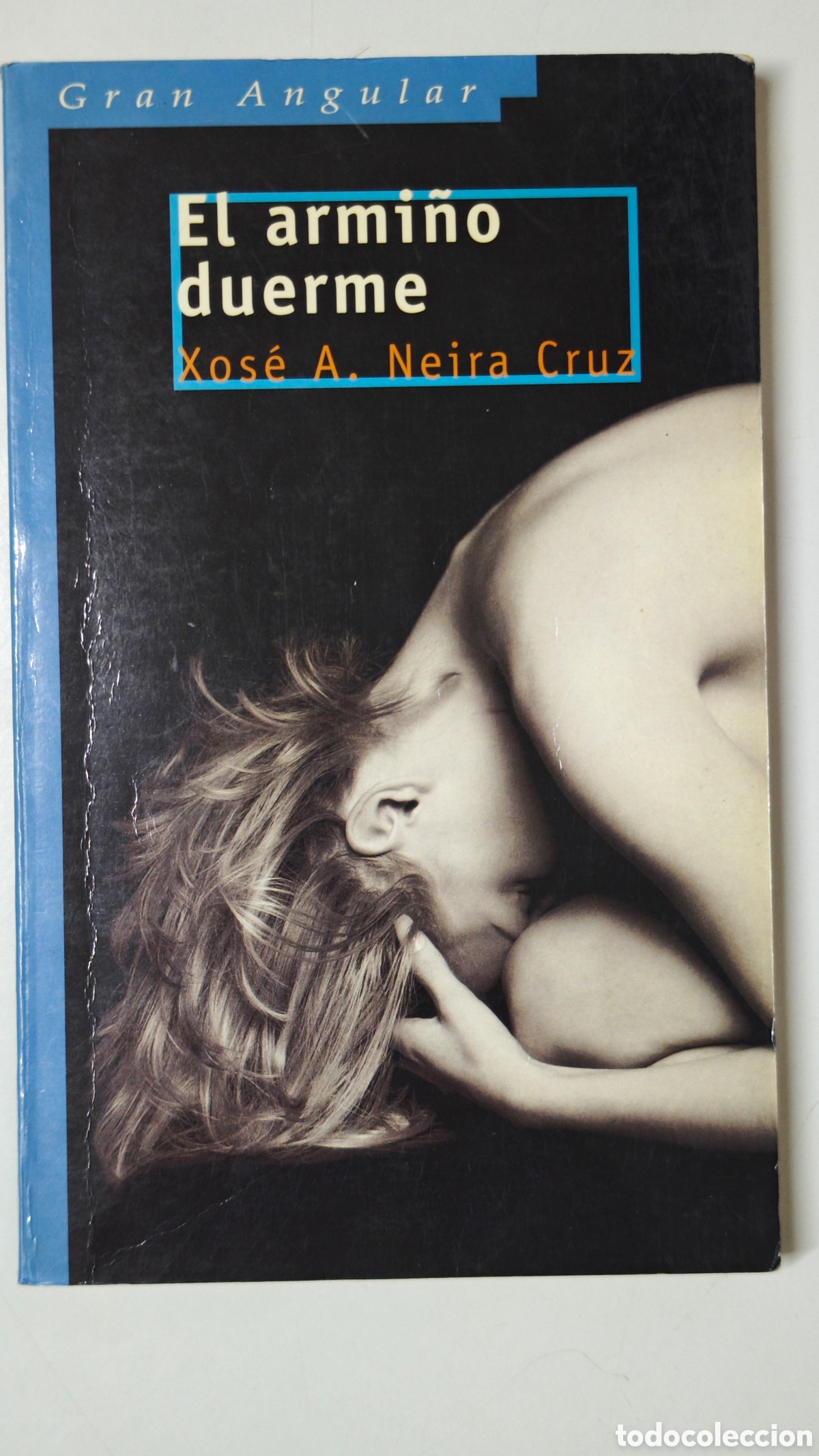 Libri di seconda mano: El Armi&ntilde;o Duerme - Xos&eacute; A. Neira Cruz - Colecci&oacute;n Gran Angular N&ordm; 245 - Ed. SM, 2003