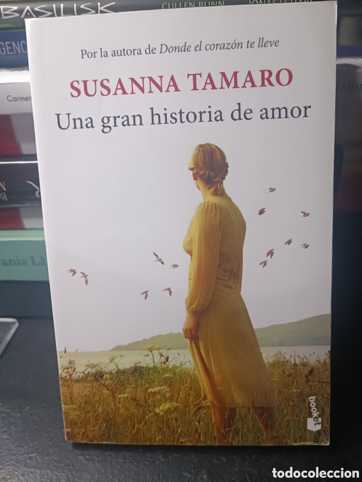 Libros de segunda mano: UNA GRAN HISTORIA DE AMOR SUSANNA TAMARO booket 2023