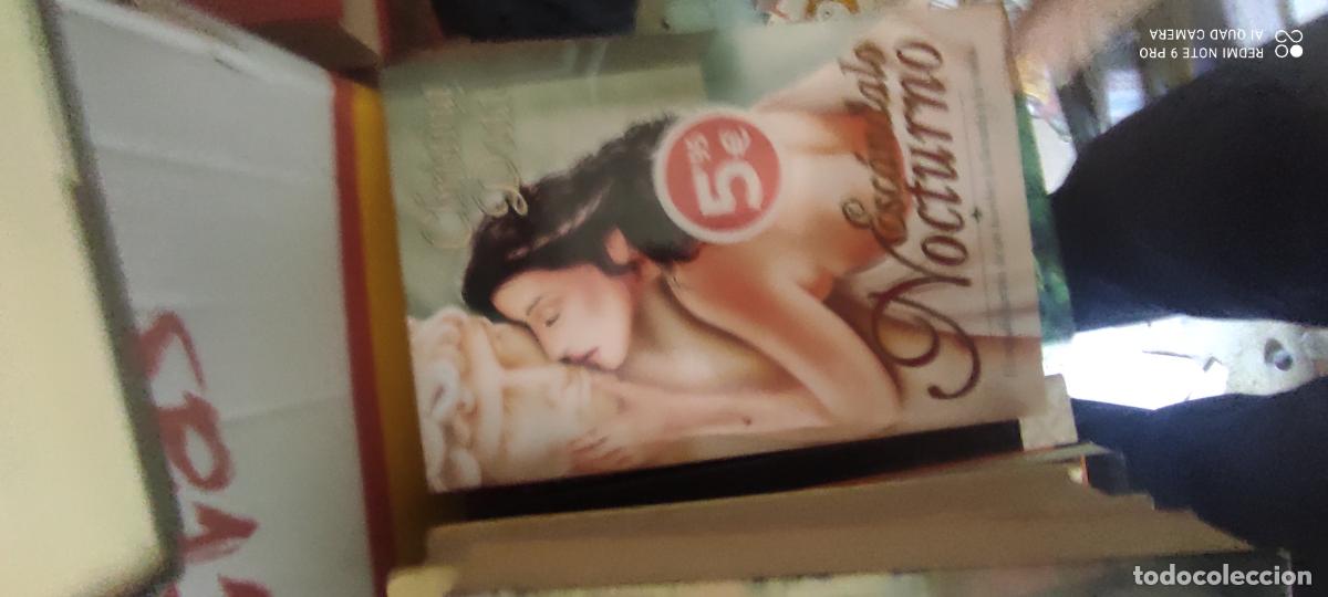 Libros de segunda mano: Esc&aacute;ndalo nocturno: Dodd, Christina