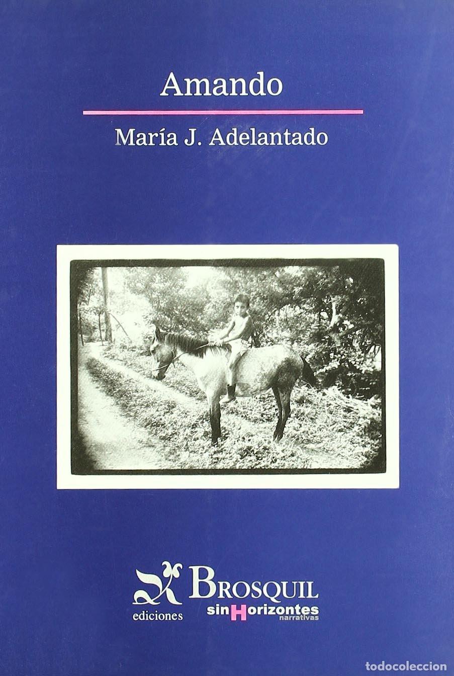 Libros de segunda mano: Amando (Sin Horizontes) - Foto 1