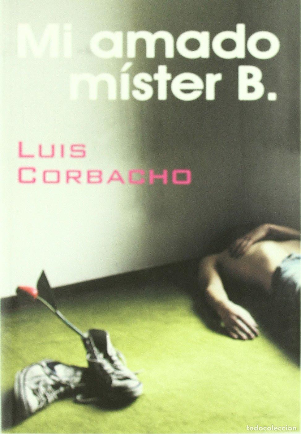 Gebrauchte B&uuml;cher: Mi Amado Mister B. - EGALES S.L