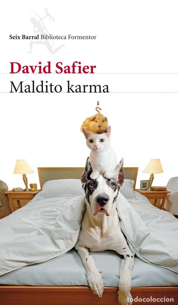 Libros de segunda mano: Maldito karma - Safier, David - Foto 1