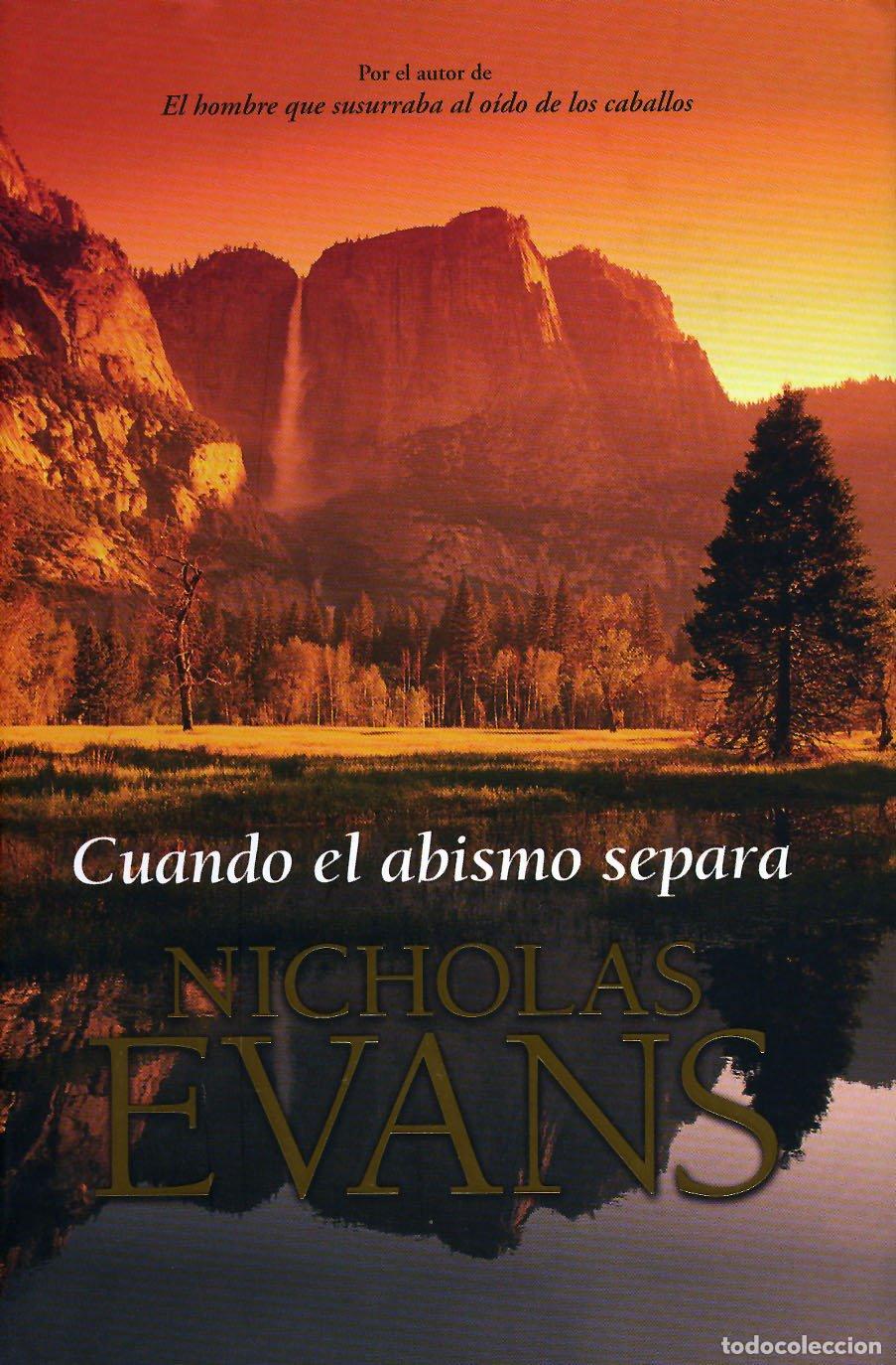 Libros de segunda mano: CUANDO EL ABISMO SEPARA-PLAZA(OCTUBRE) (SIN COLECCION)
