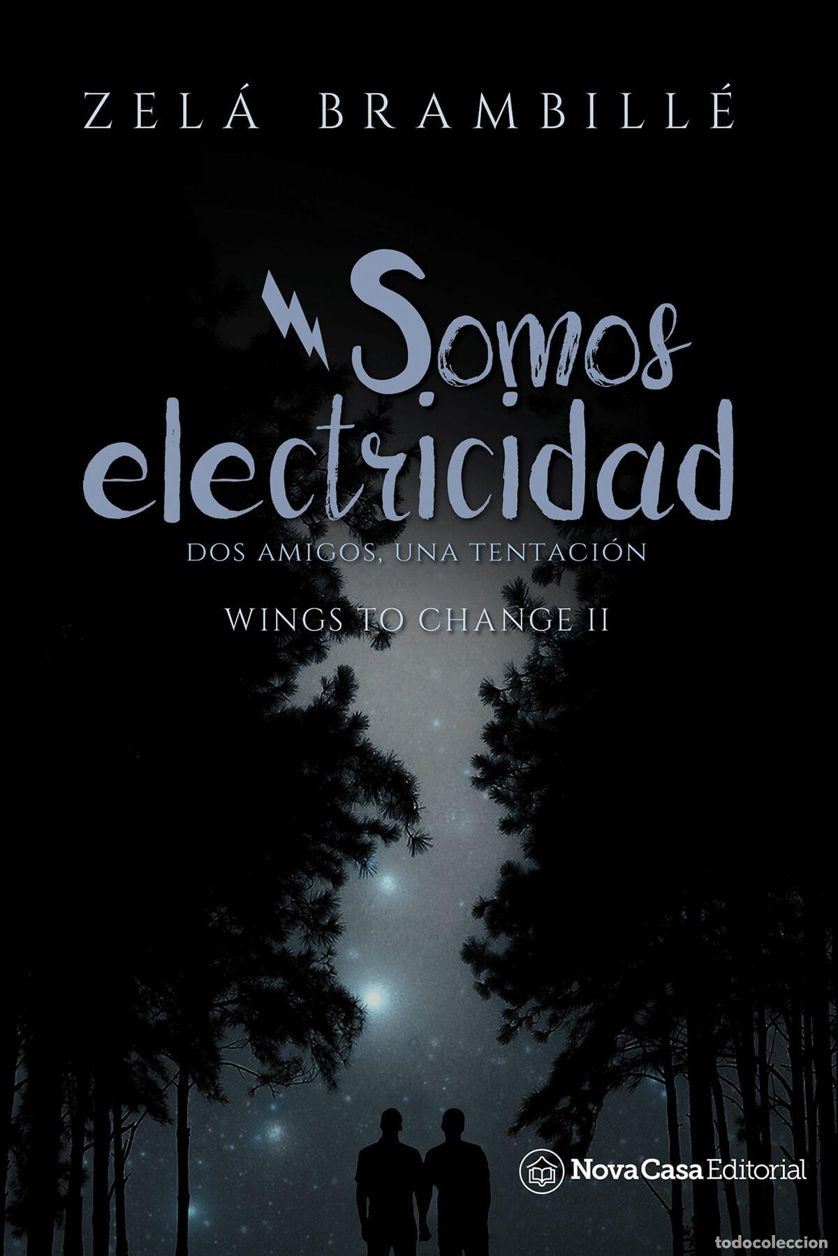 Libros de segunda mano: Somos electricidad - Brambill&eacute; Brambill&eacute;, Zel&aacute;