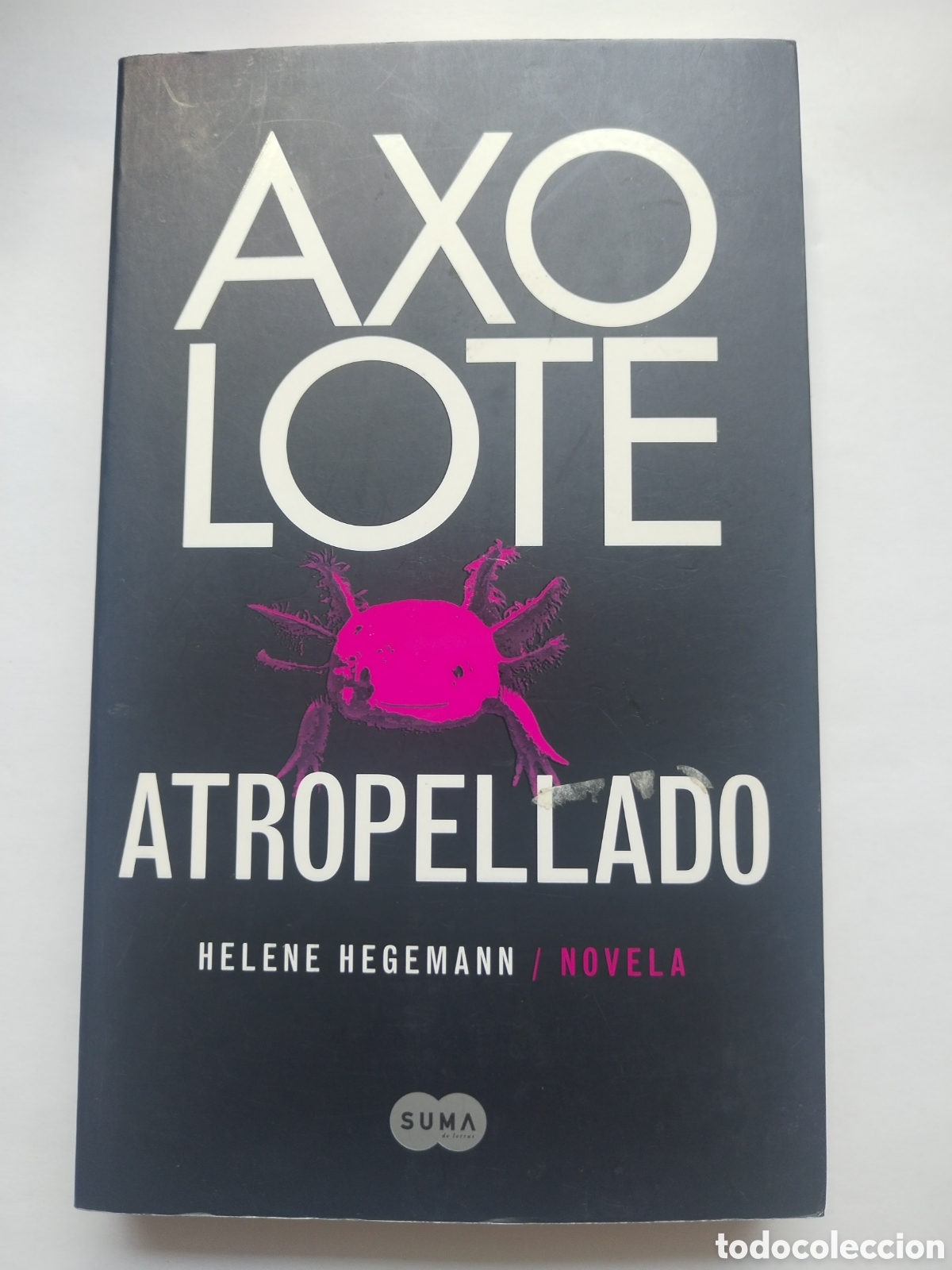 Libros de segunda mano: AXOLOTE ATROPELLADO/HELENE HEGEMANN