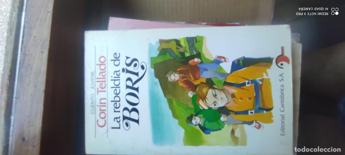 Libros de segunda mano: La rebeld&iacute;a de Boris. Cor&iacute;n Tellado