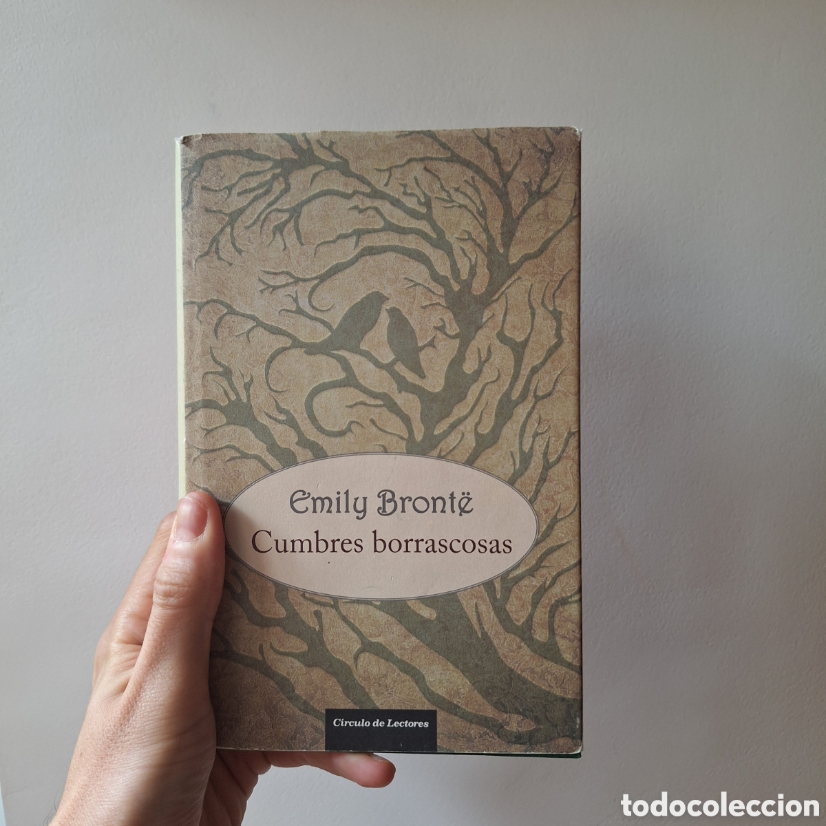 Libros de segunda mano: Cumbres borrascosas - Emily Bront&euml;