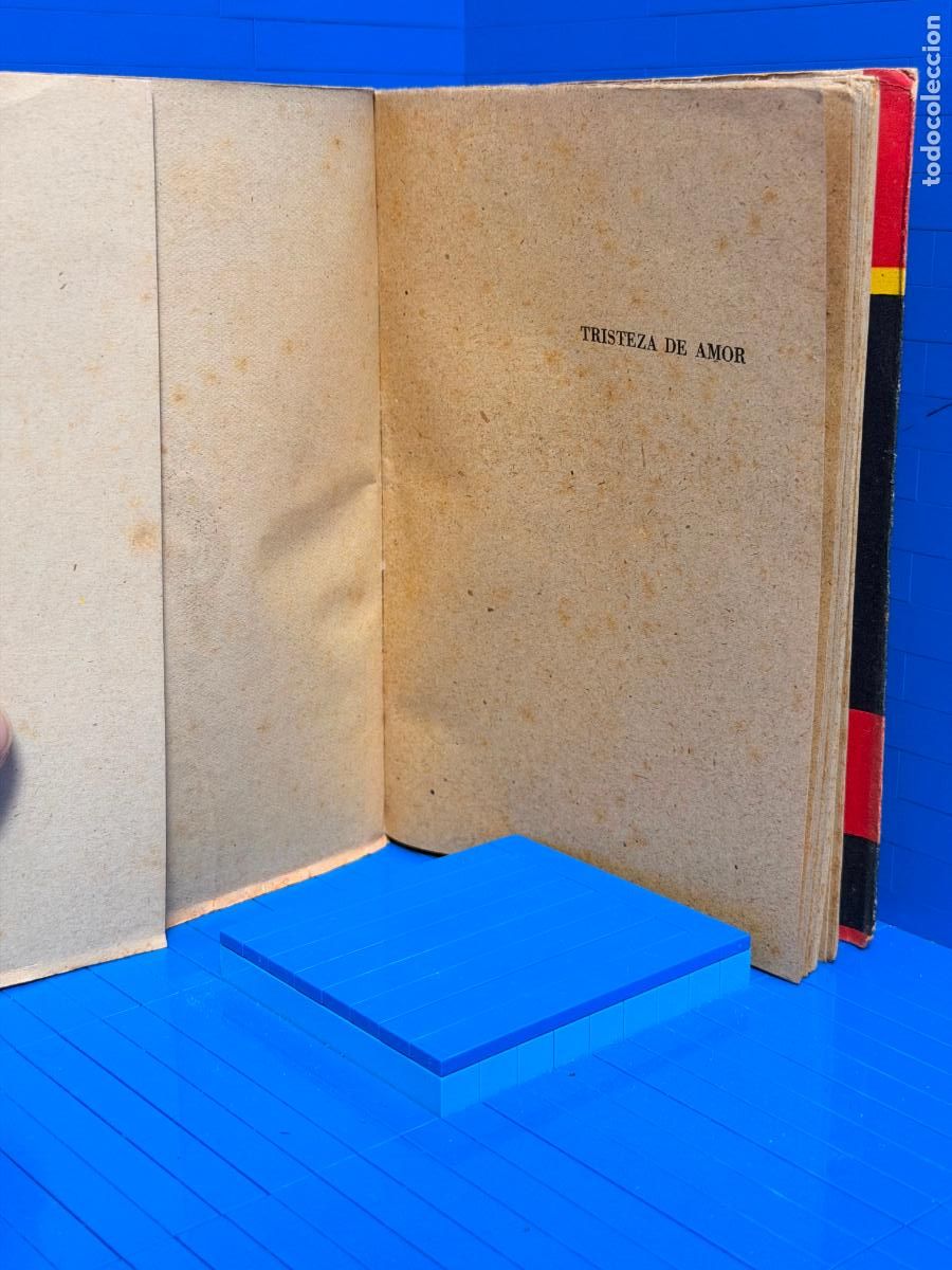 Libros de segunda mano: TRISTEZA DE AMOR - CONCEPCION CASTELLA - Foto 2