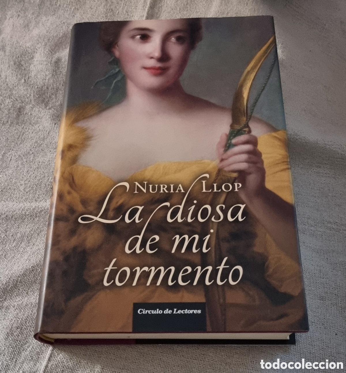 Libros de segunda mano: La diosa de mi tormento - Nuria Llop