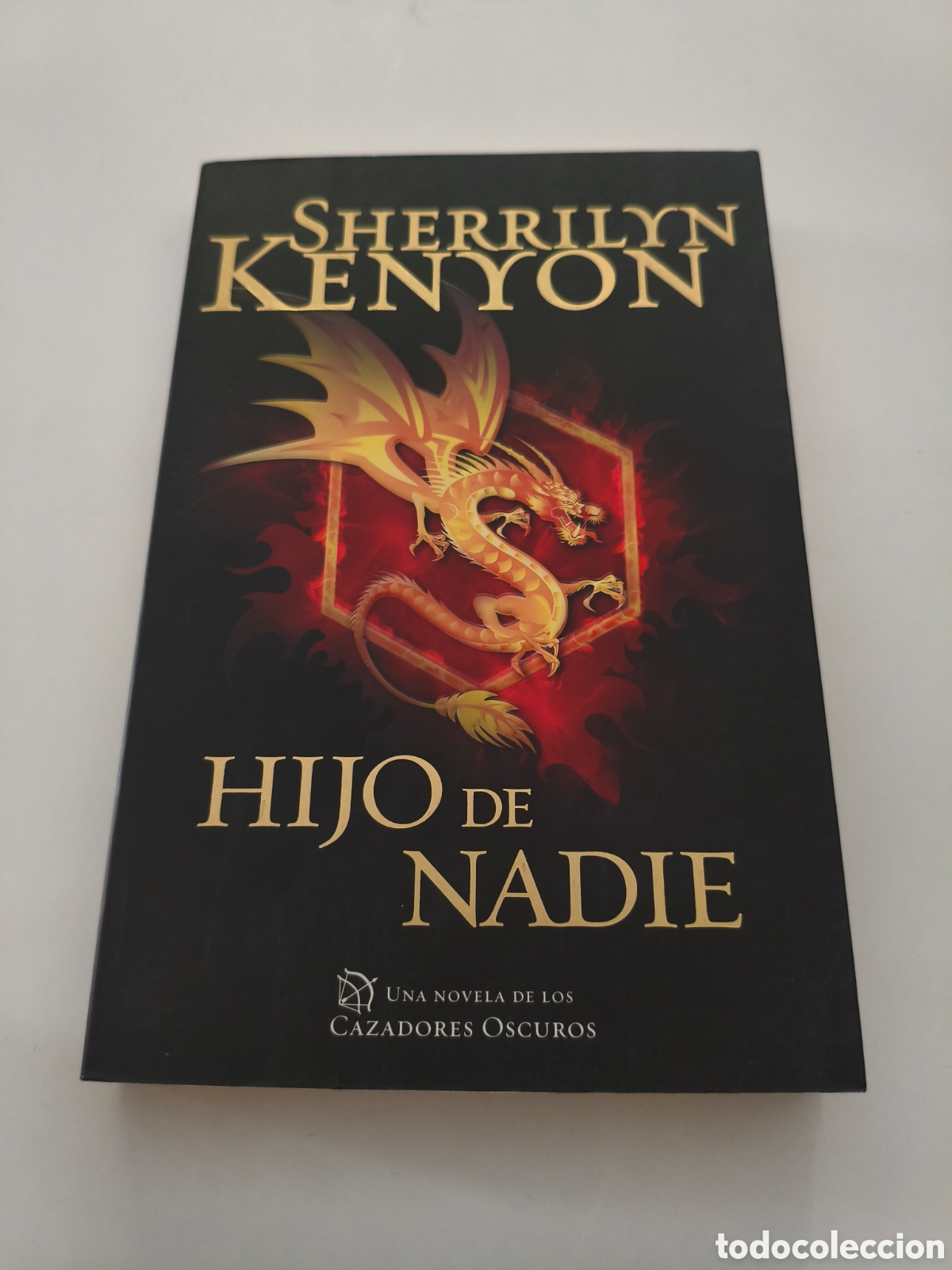 Libros de segunda mano: 028 - Hijo de nadie (Cazadores Oscuros 24)