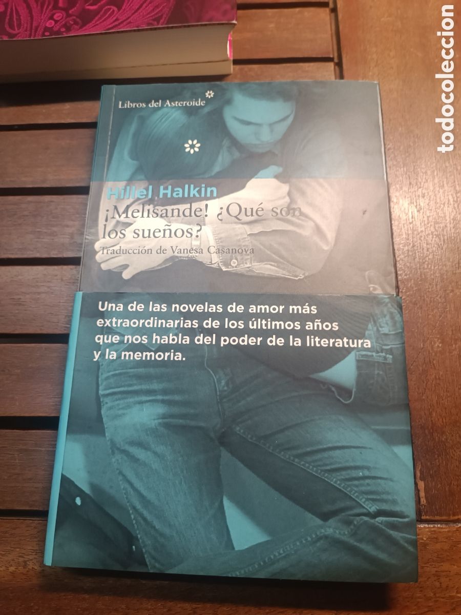 Libros de segunda mano: Hillel halkin melisande qu&eacute; son los sue&ntilde;os libros del asteroide Vanesa casanova traducci&oacute;n 2014