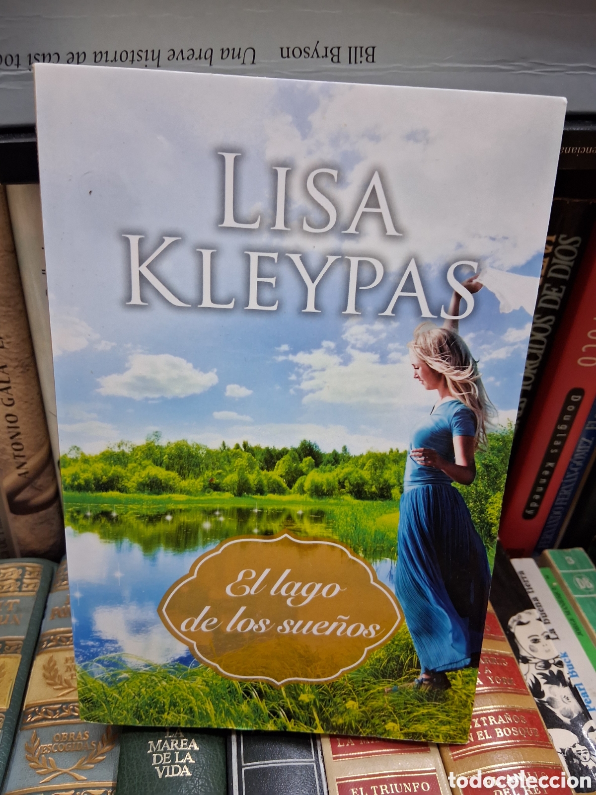 Libros de segunda mano: El lago de los secretos - Lisa Kleypas