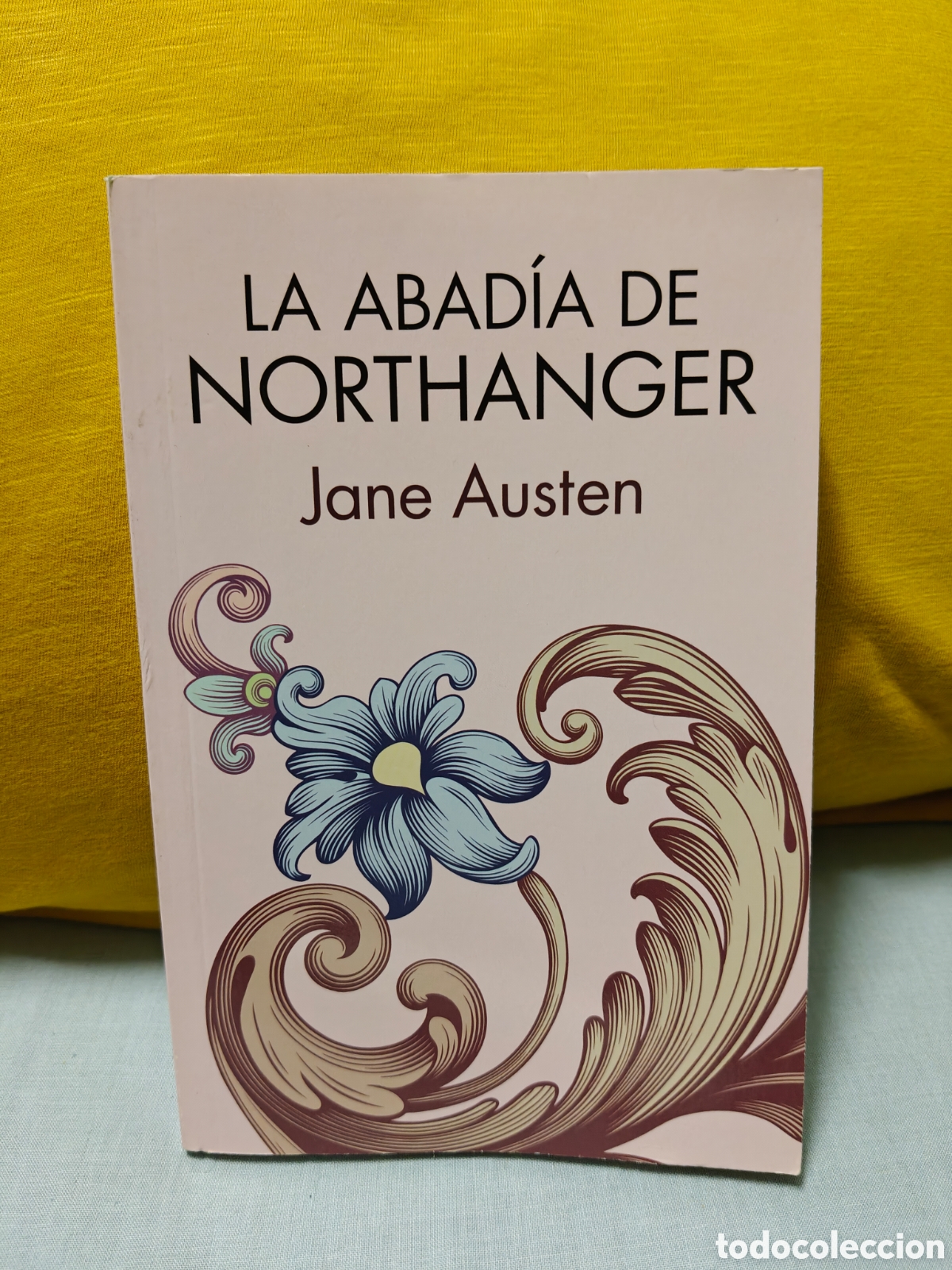 Libros de segunda mano: La Abad&iacute;a de Northanger, Jane Austen