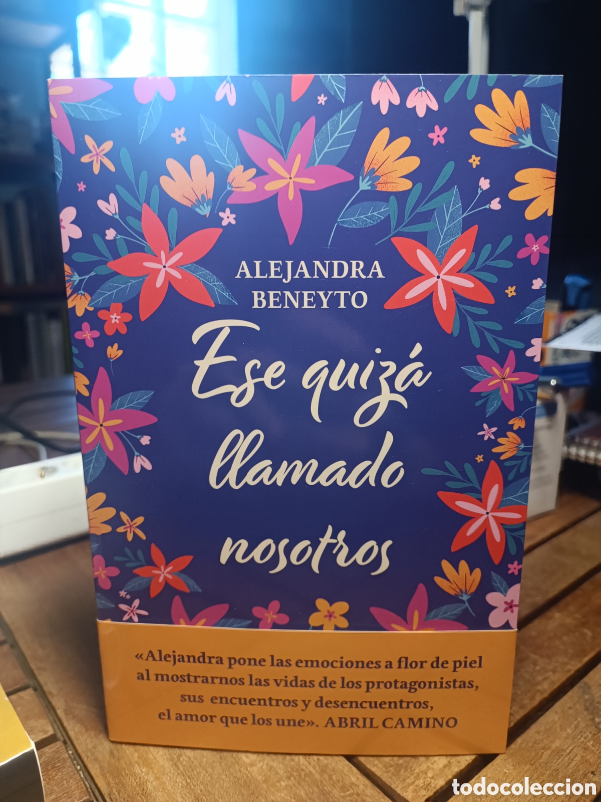 Gebrauchte B&uuml;cher: Ese quiz&aacute; llamado nosotros Alejandra Beneyto 2024