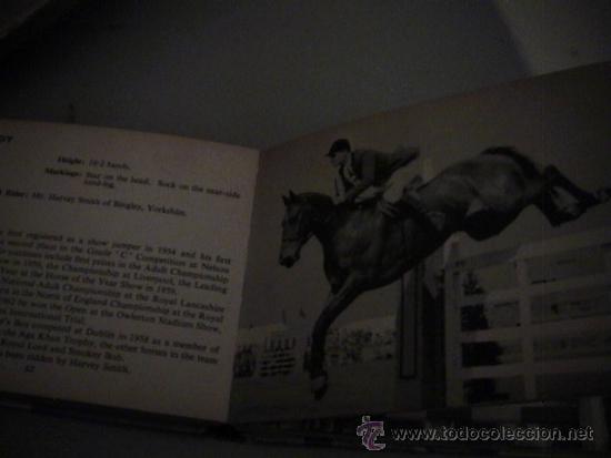 Libros de segunda mano: horses - Foto 4