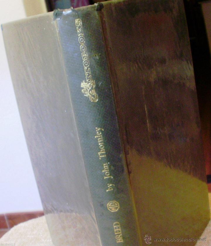 Second hand books: Libro Maintaining the breed, autor John W. Thornley, Editorial Motor Racing Publications, a&ntilde;o 1956