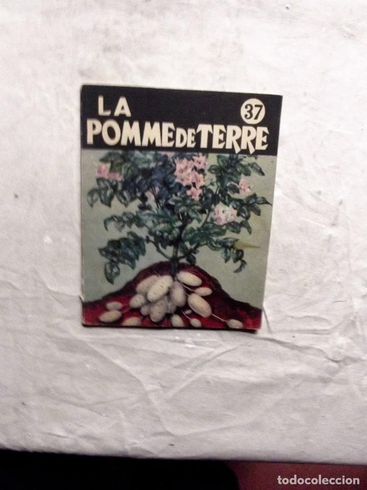Libros de segunda mano: LA POMME DE TERRE - Foto 1