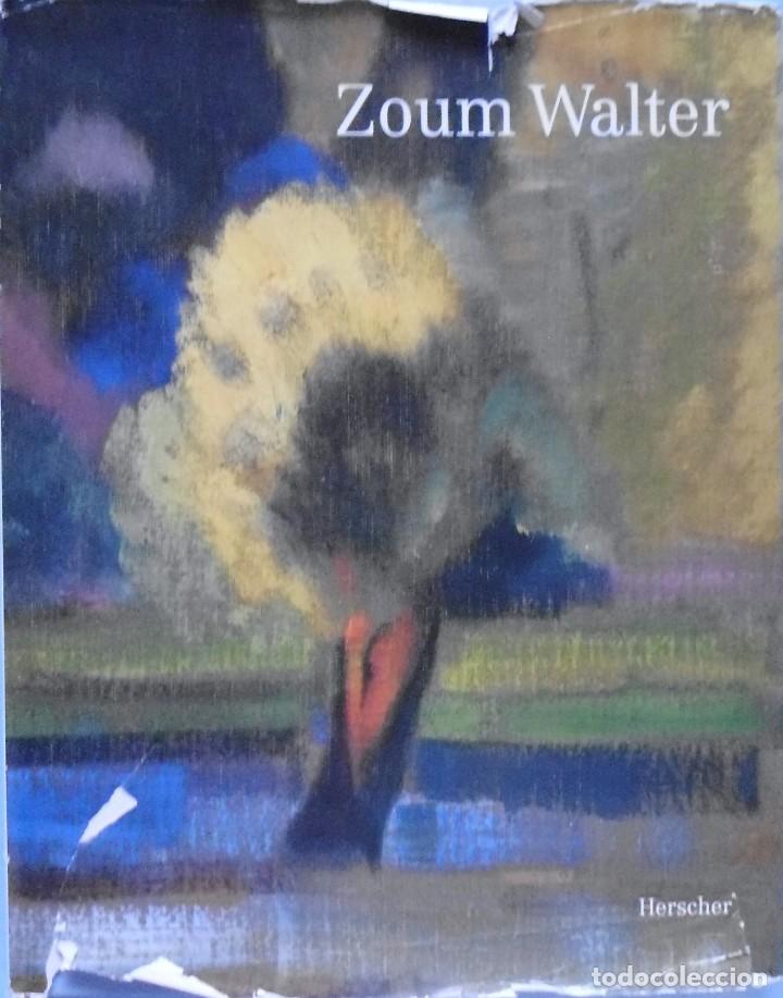 Libros de segunda mano: LIBRO EN FRANCES: ZOUM WALTER  N&ordm; 85 - Foto 1