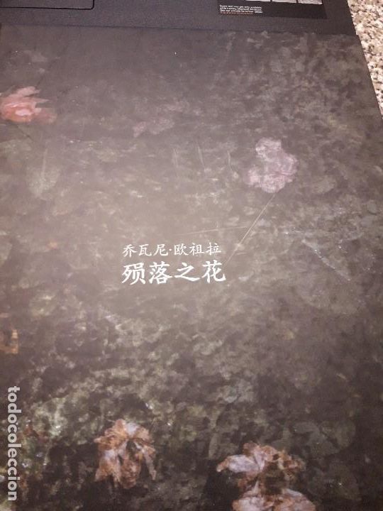 Libros de segunda mano: Ed. Gli Ori, 2018 - Foto 1