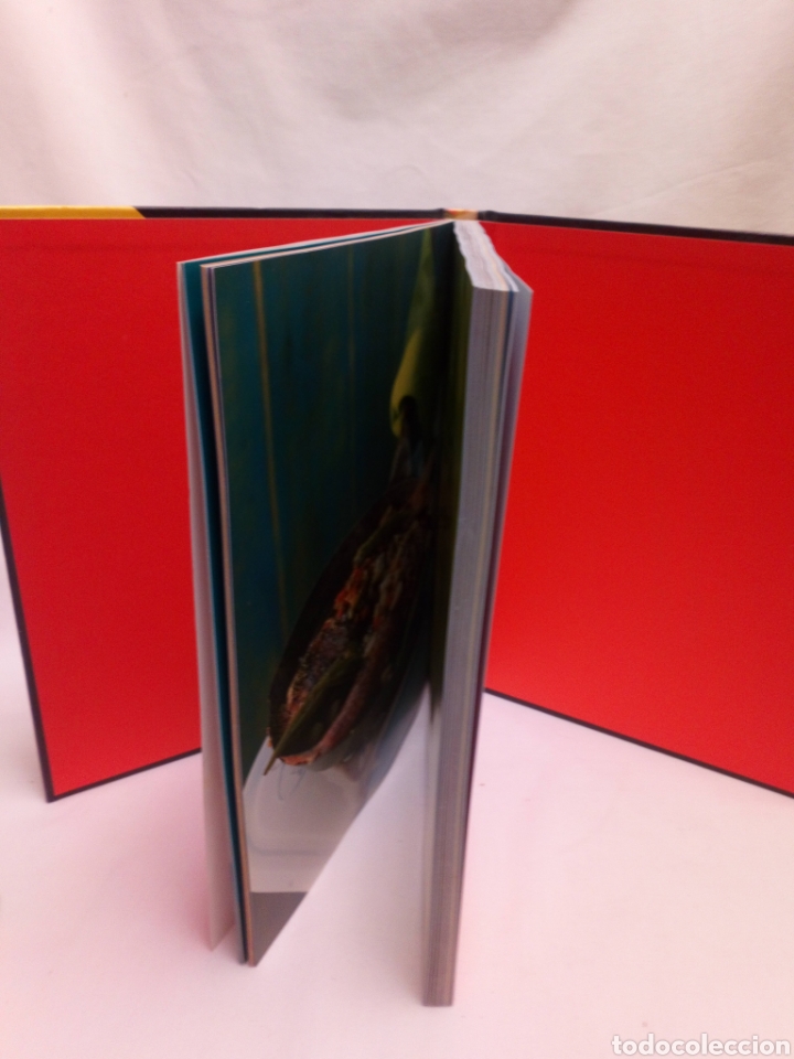 Libros de segunda mano: Levi roots reggae reggae Cook book - Foto 3