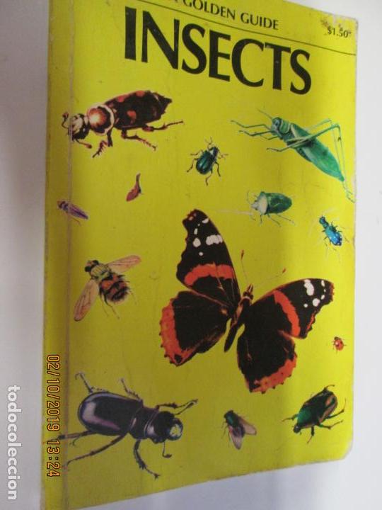 Libros de segunda mano: INSECTS -  A. GOLDEN GUIDE. - Foto 1