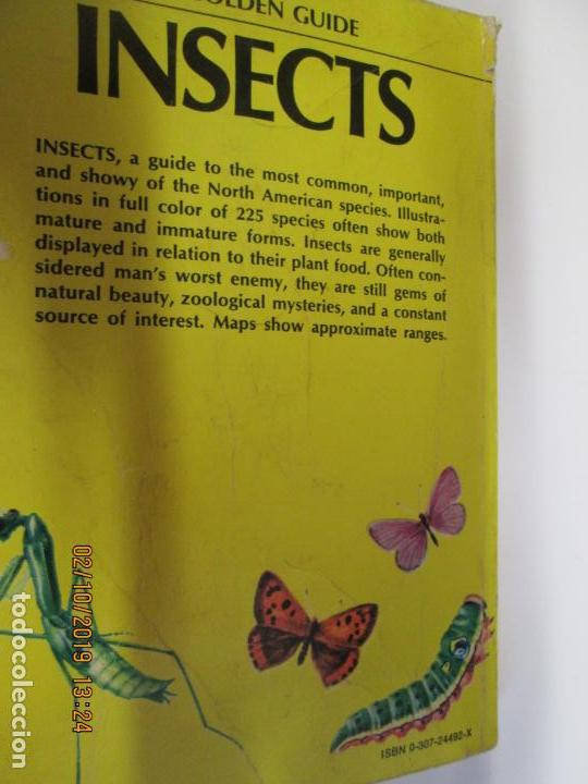 Libros de segunda mano: INSECTS -  A. GOLDEN GUIDE. - Foto 2