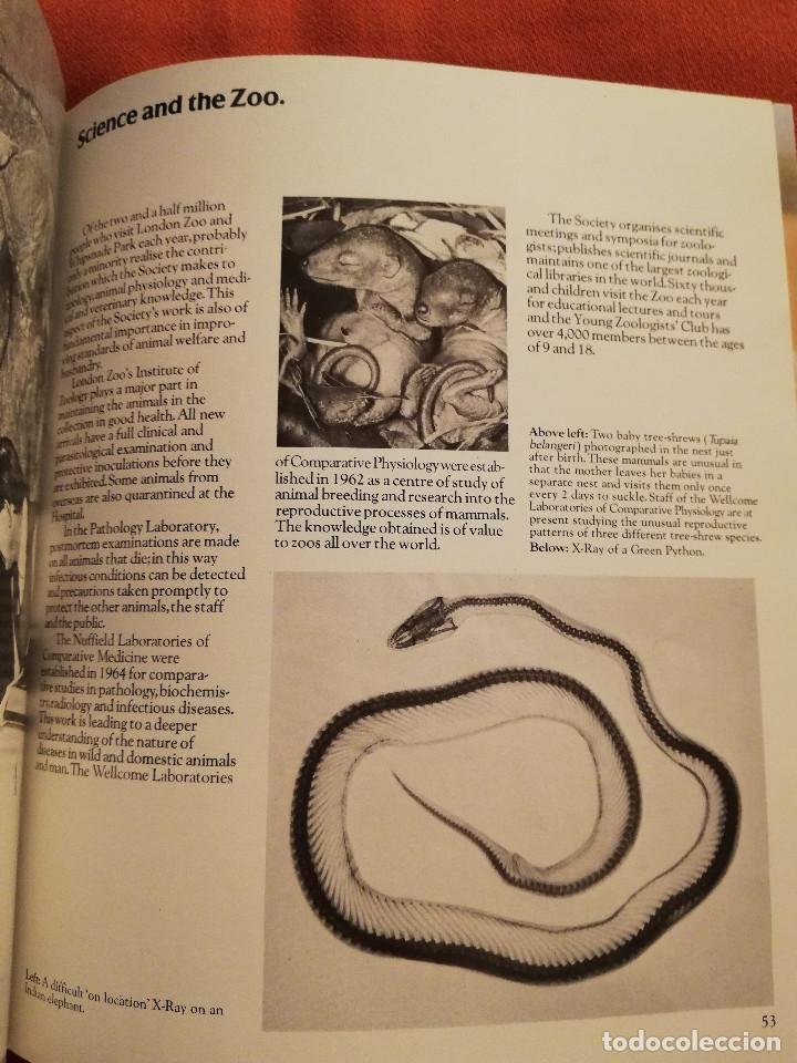 Libros de segunda mano: LONDON ZOO GUIDE - Foto 4