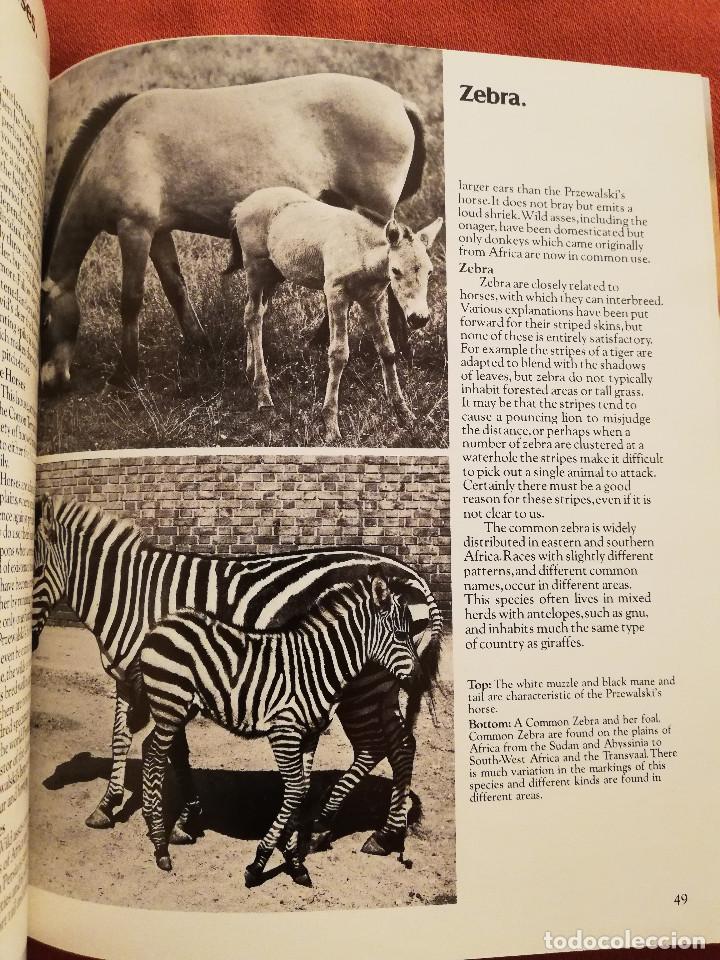 Libros de segunda mano: LONDON ZOO GUIDE - Foto 5