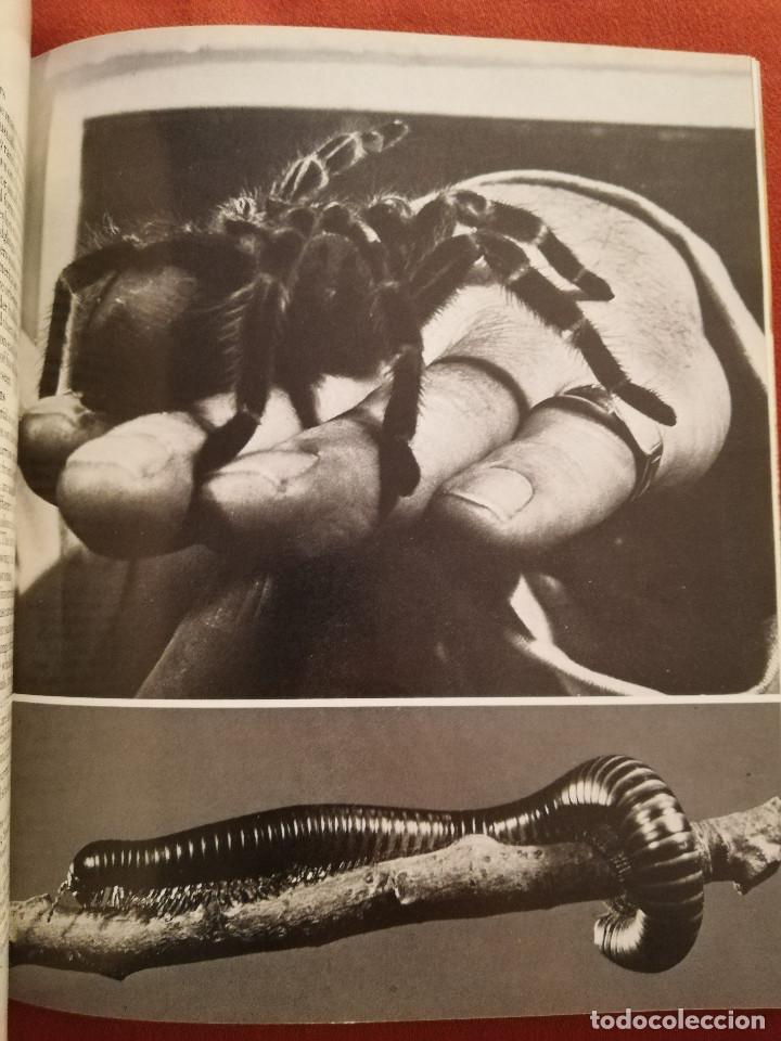 Libros de segunda mano: LONDON ZOO GUIDE - Foto 6