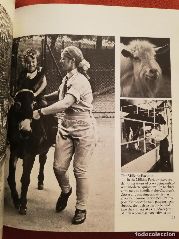 Libros de segunda mano: LONDON ZOO GUIDE - Foto 7