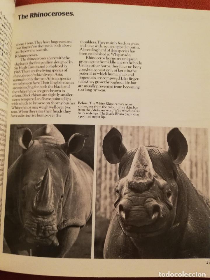 Libros de segunda mano: LONDON ZOO GUIDE - Foto 8
