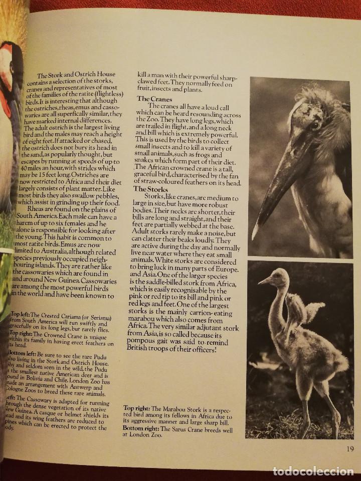 Libros de segunda mano: LONDON ZOO GUIDE - Foto 9