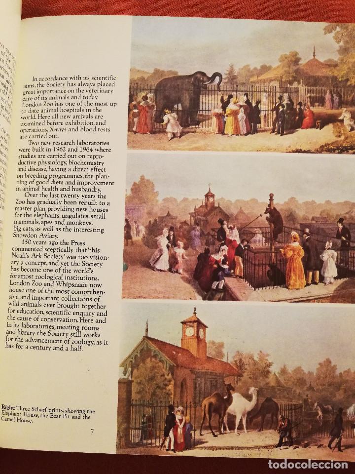 Libros de segunda mano: LONDON ZOO GUIDE - Foto 10