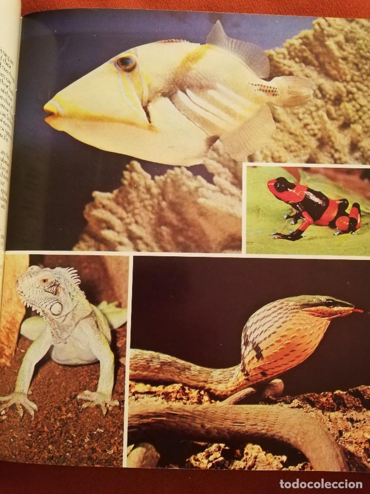 Libros de segunda mano: LONDON ZOO GUIDE - Foto 11