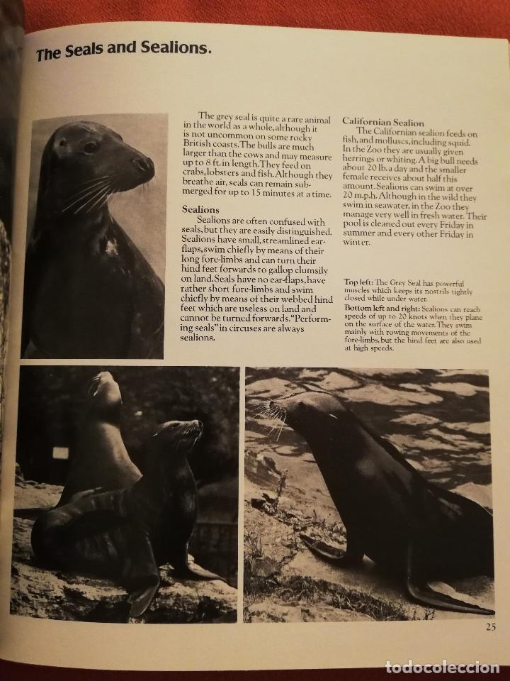 Libros de segunda mano: LONDON ZOO GUIDE - Foto 12
