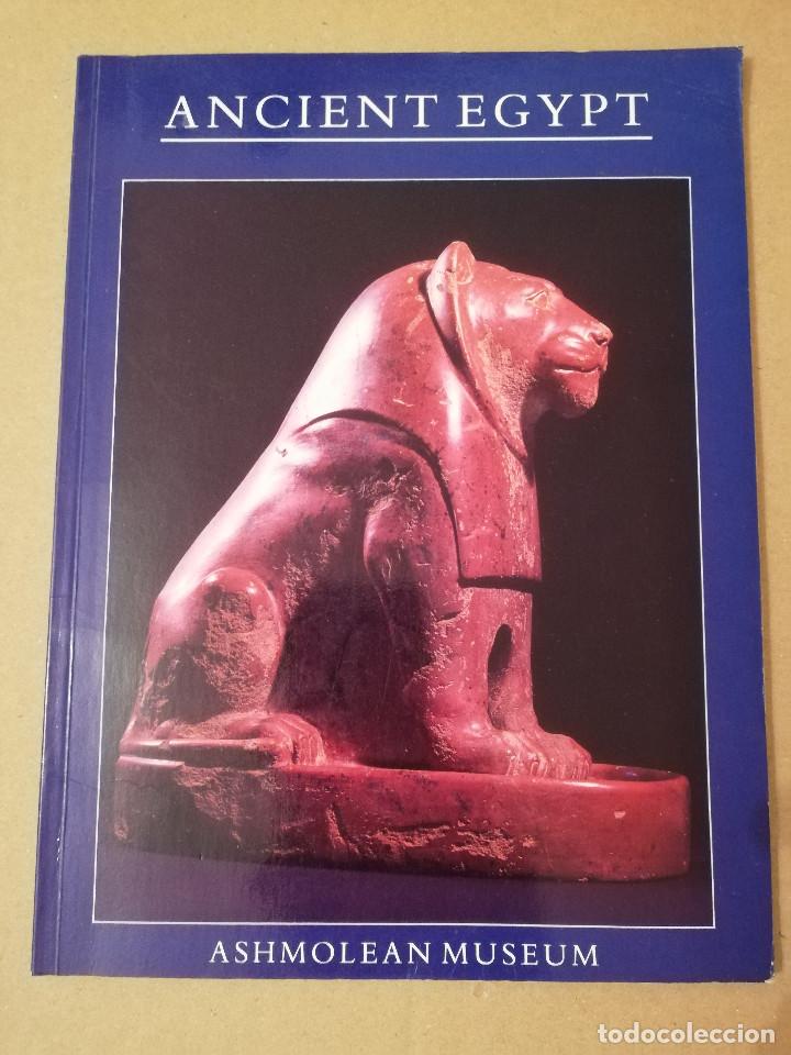 Libros de segunda mano: ANCIENT EGYPT (MOOREY) ASHMOLEAN MUSEUM, OXFORD - Foto 1