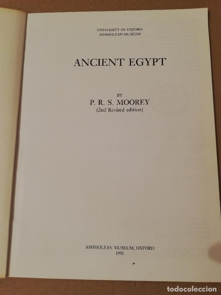 Libros de segunda mano: ANCIENT EGYPT (MOOREY) ASHMOLEAN MUSEUM, OXFORD - Foto 2
