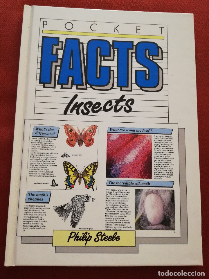 Libros de segunda mano: INSECTS (PHILIP STEELE) MACMILLAN - Foto 1