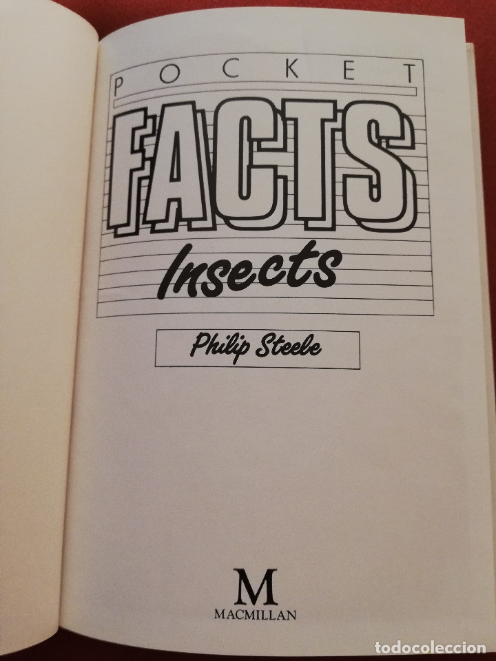 Libros de segunda mano: INSECTS (PHILIP STEELE) MACMILLAN - Foto 2