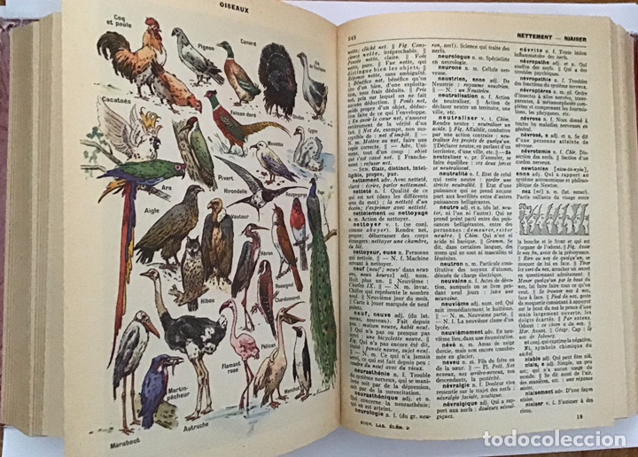 Libros de segunda mano: Nouveau Larousse Elementaire - Foto 3