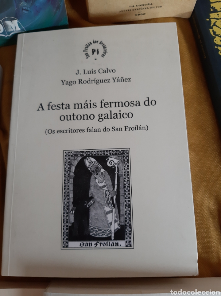 Libros de segunda mano: A Festa mais hermosa do oto&ntilde;o galaico San froilan J.Luis Calvo y Yago Rodr&iacute;guez