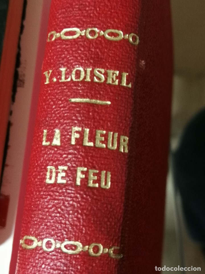 Libros de segunda mano: La fleur de feu (Loisel, Y.) - Foto 1