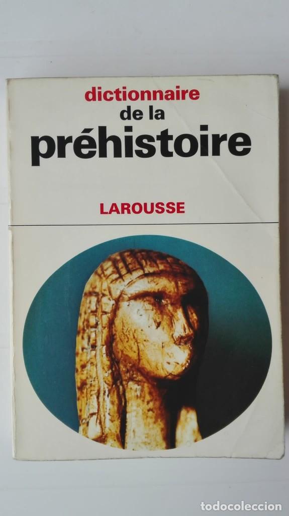 Libros de segunda mano: Dictionnaire de la pr&eacute;historie. Autor: Michel Brezill&oacute;n