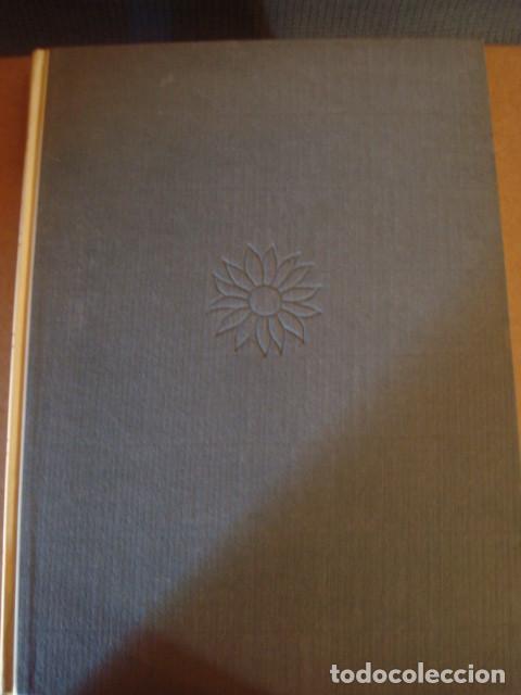 Libros de segunda mano: Das Blumenbuch en aleman - Foto 1