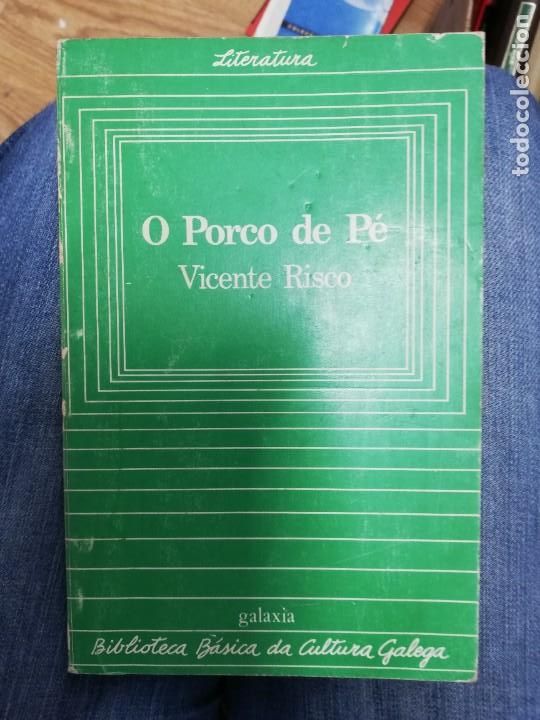Libros de segunda mano: O porco de p&eacute;. Vicente Risco - Foto 1