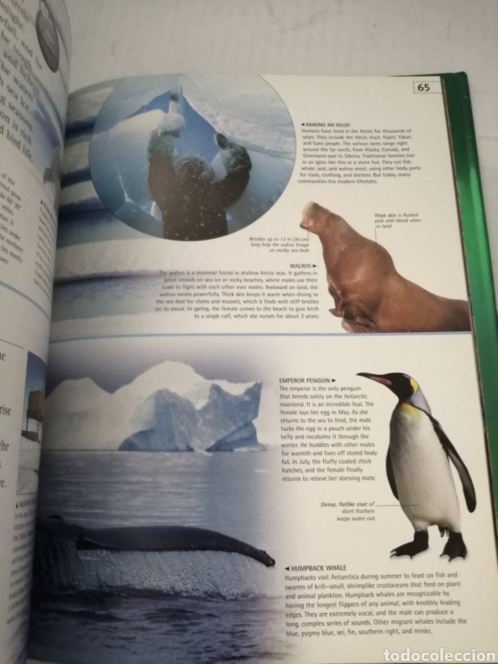 Libros de segunda mano: Earth (DK/Google E.guides) (Ingl&eacute;s) - Foto 4
